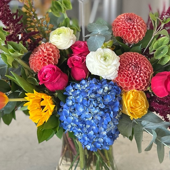 Meet your Posher, Ana - Picture 1 of 1